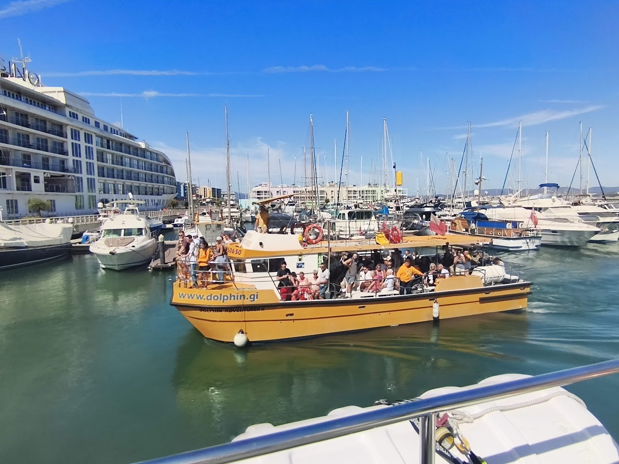 Gibraltar Dolphin Tour